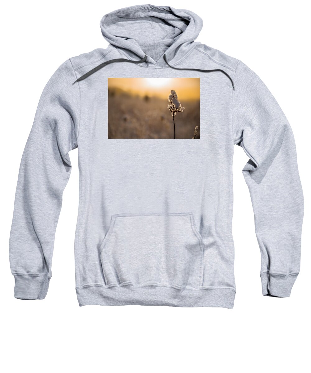 Winter Sweatshirt featuring the photograph Winter Glow #1 by Mark Rogers