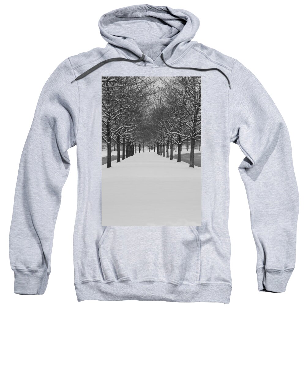 Trees Sweatshirt featuring the photograph Winter Rows by Lauri Novak