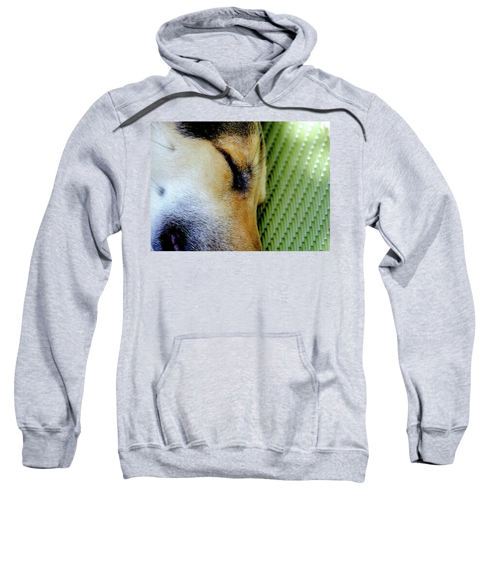 Dog Sweatshirt featuring the photograph Wiskers Fur-n-Plastic by Tim Dussault