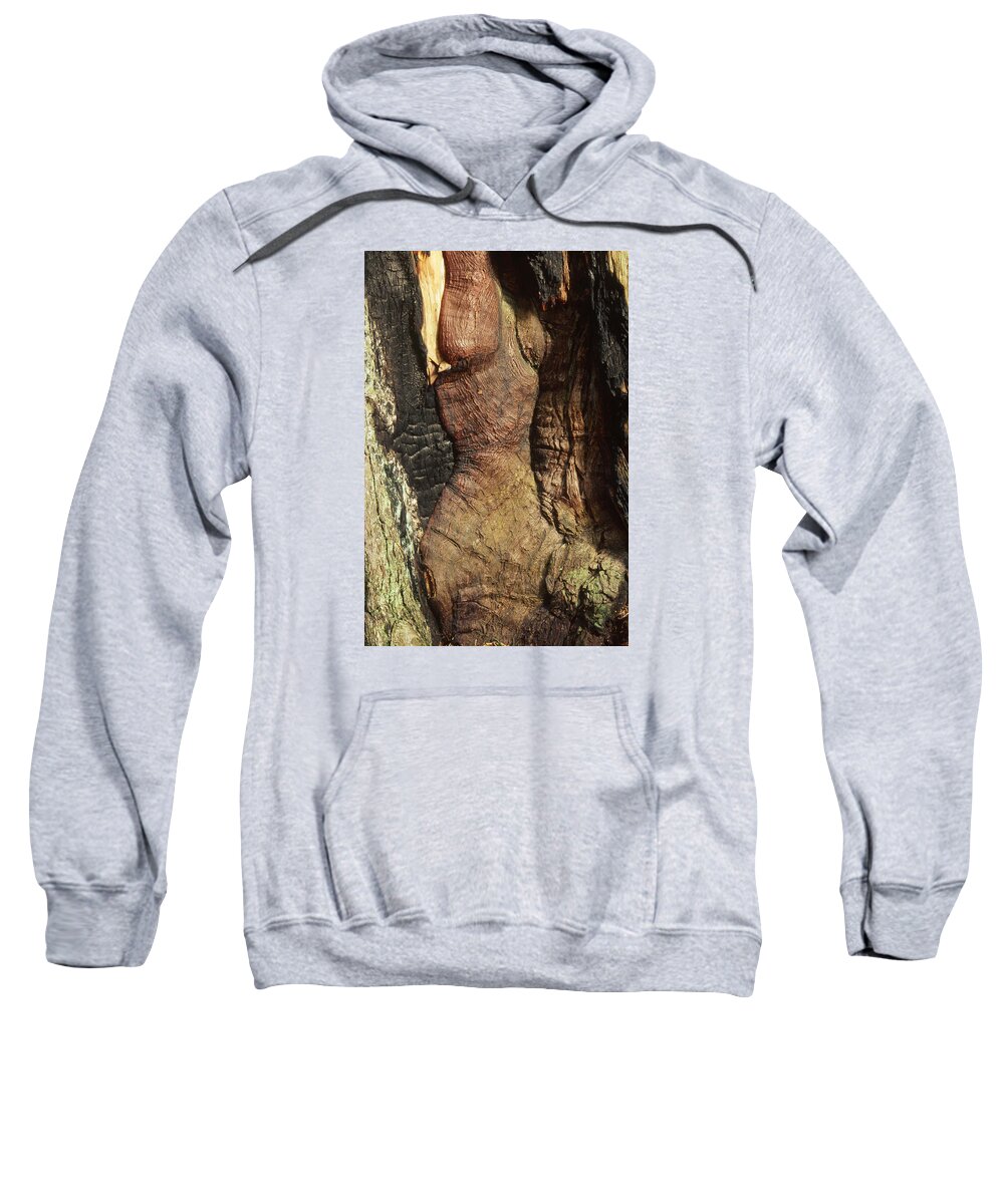 Redwood Sweatshirt featuring the photograph Woman's Body - West Ridge Trail by Soli Deo Gloria Wilderness And Wildlife Photography