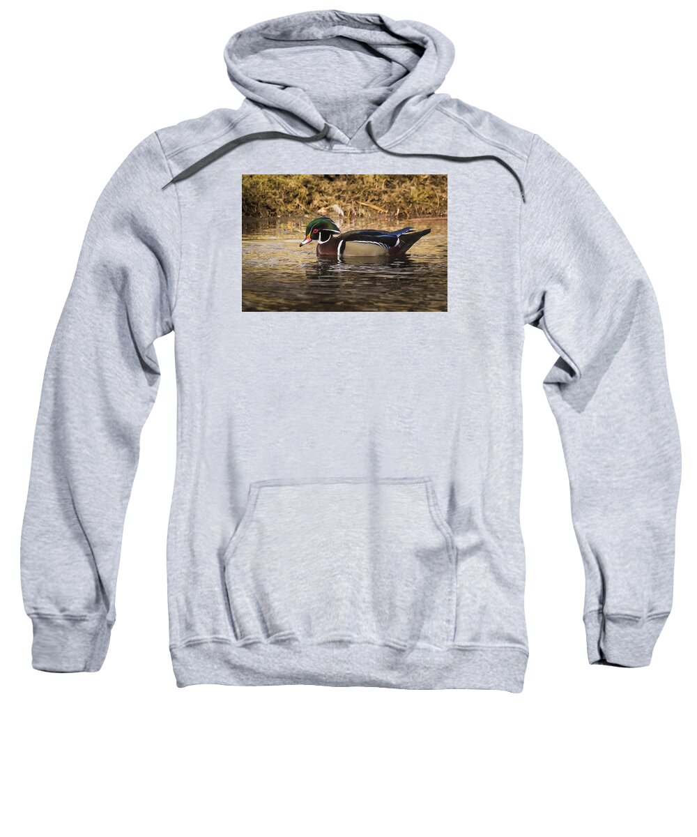Duck Sweatshirt featuring the photograph Wood Duck by Janis Knight