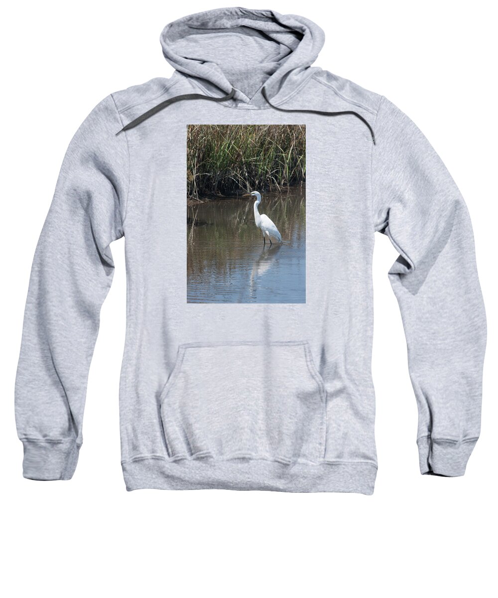 Photograph Sweatshirt featuring the photograph Yawkey Wildlife Refuge - Great White Egret II by Suzanne Gaff