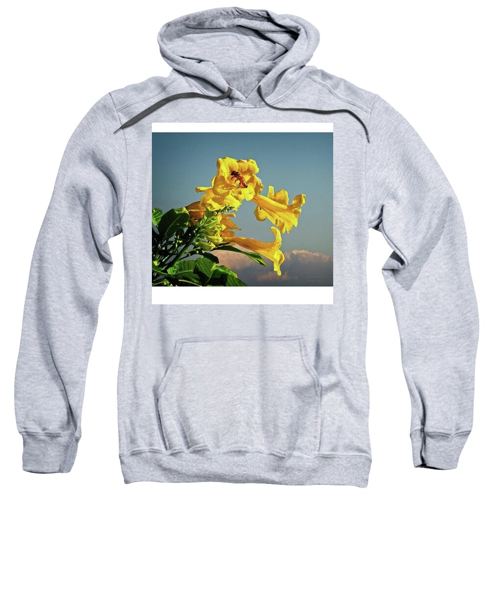 Flower Sweatshirt featuring the photograph Yellow Flower And Blue Sky by Marvin Reinhart