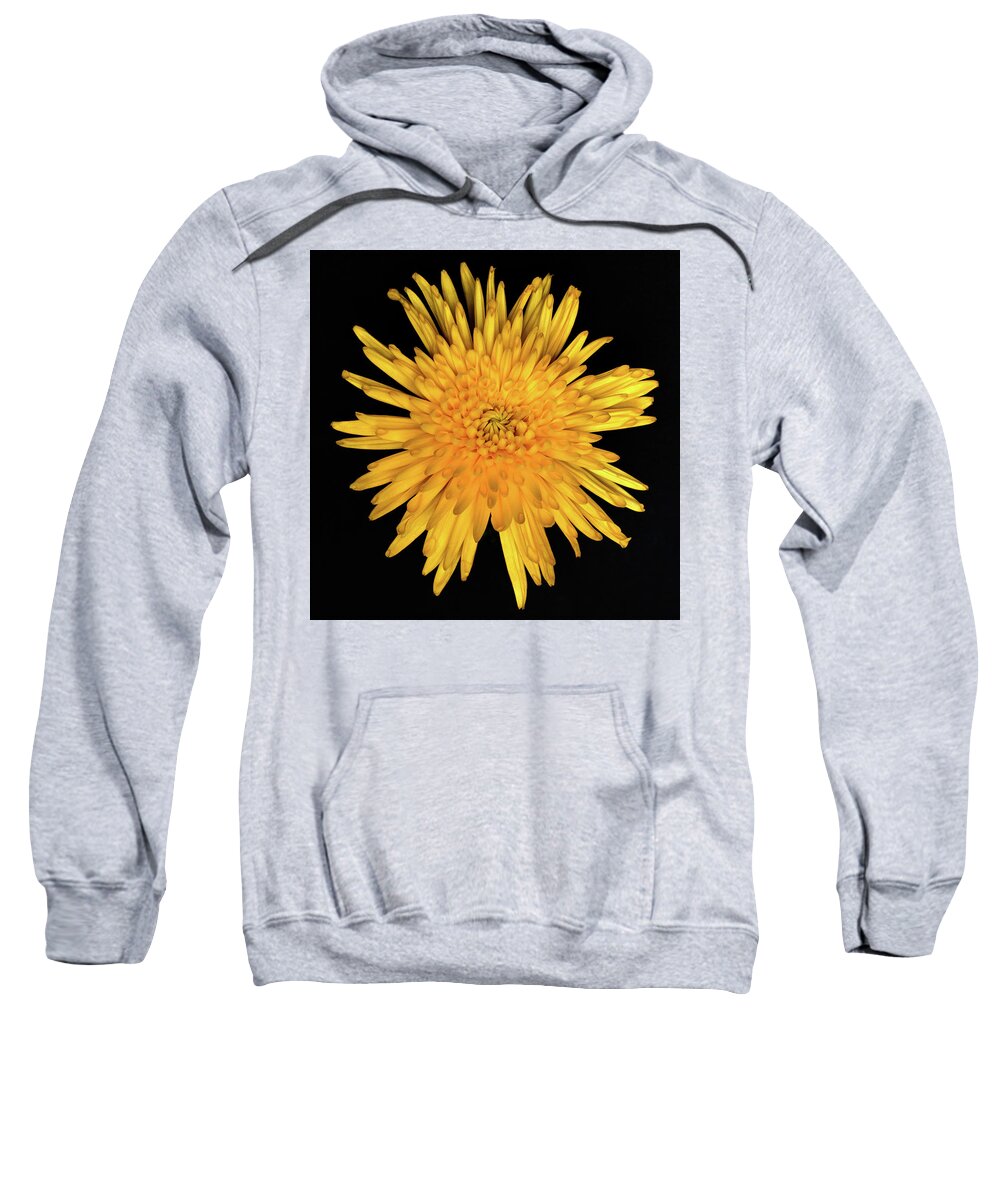 Macro Sweatshirt featuring the photograph Yellow Flower Macro by Allin Sorenson