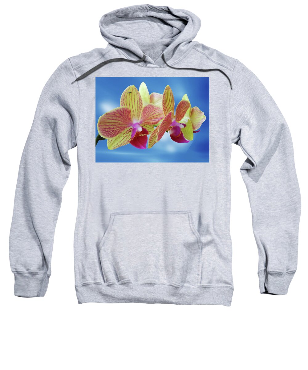 Blossom Sweatshirt featuring the photograph Yellow Orchid Flower by Ridwan Photography