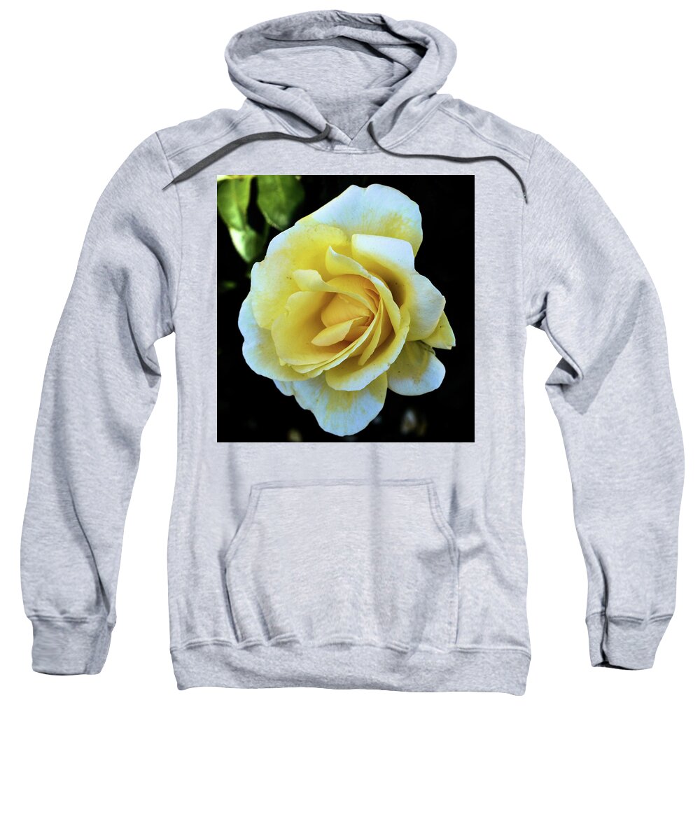 Flowers Sweatshirt featuring the photograph Yellow Rose by Charles HALL