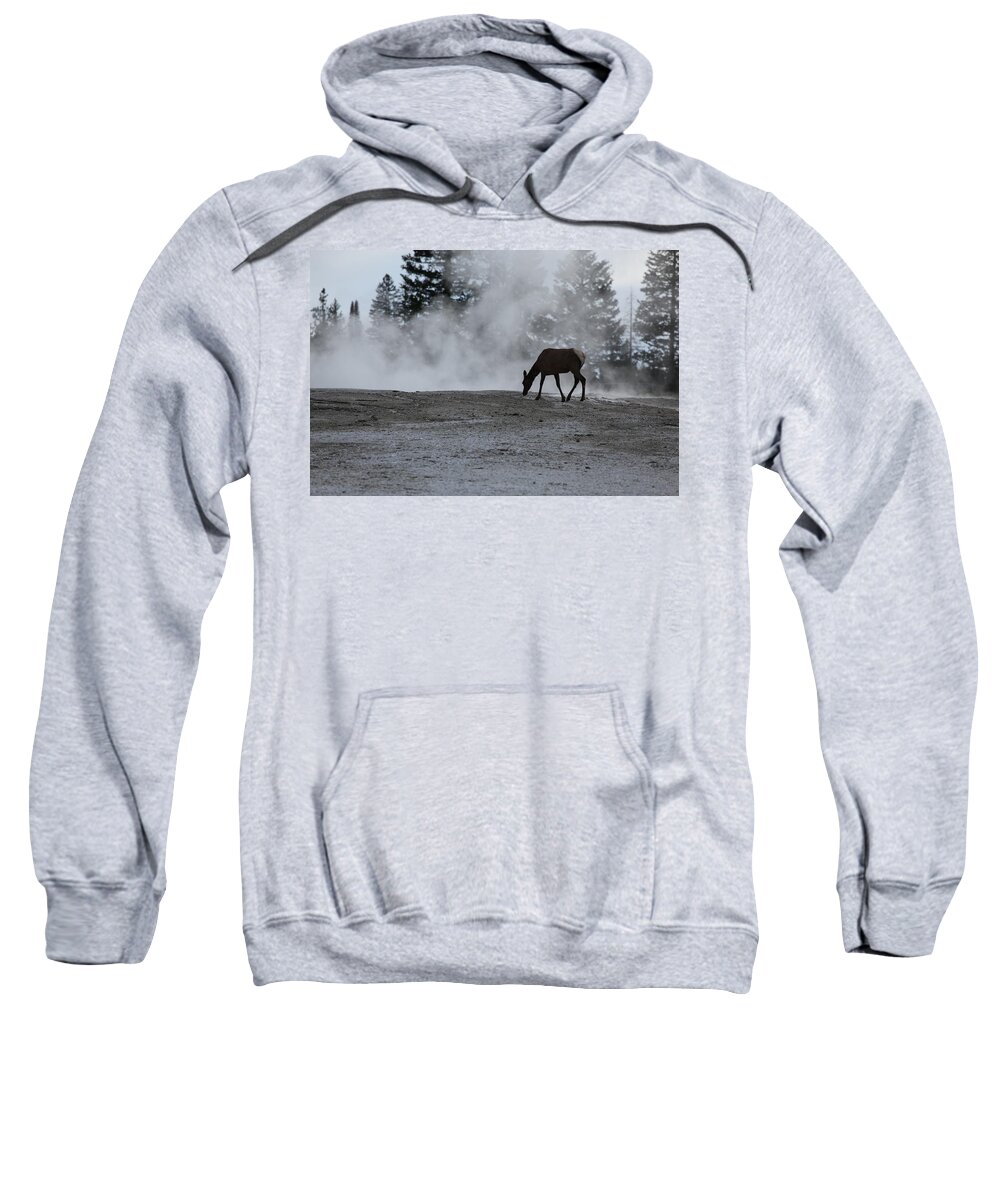 Yellowstone National Park Sweatshirt featuring the photograph Yellowstone 5456 by Michael Fryd