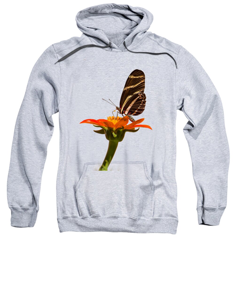 Butterfly Sweatshirt featuring the photograph Zebra longwing by Zina Stromberg