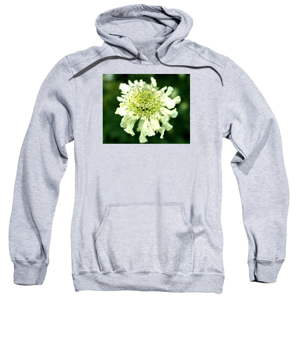 Zone In Emotion Sweatshirt featuring the photograph Zone in Emotion by Agneta Sigurdsson