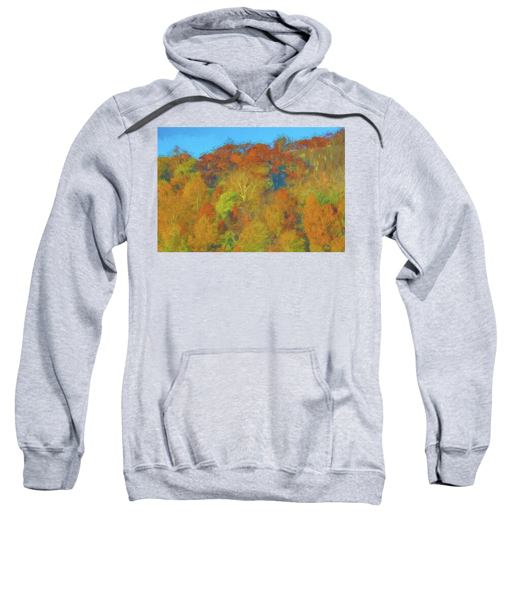 Autumn Sweatshirt featuring the photograph Autumn on Garret Mountain #1 by Alan Goldberg