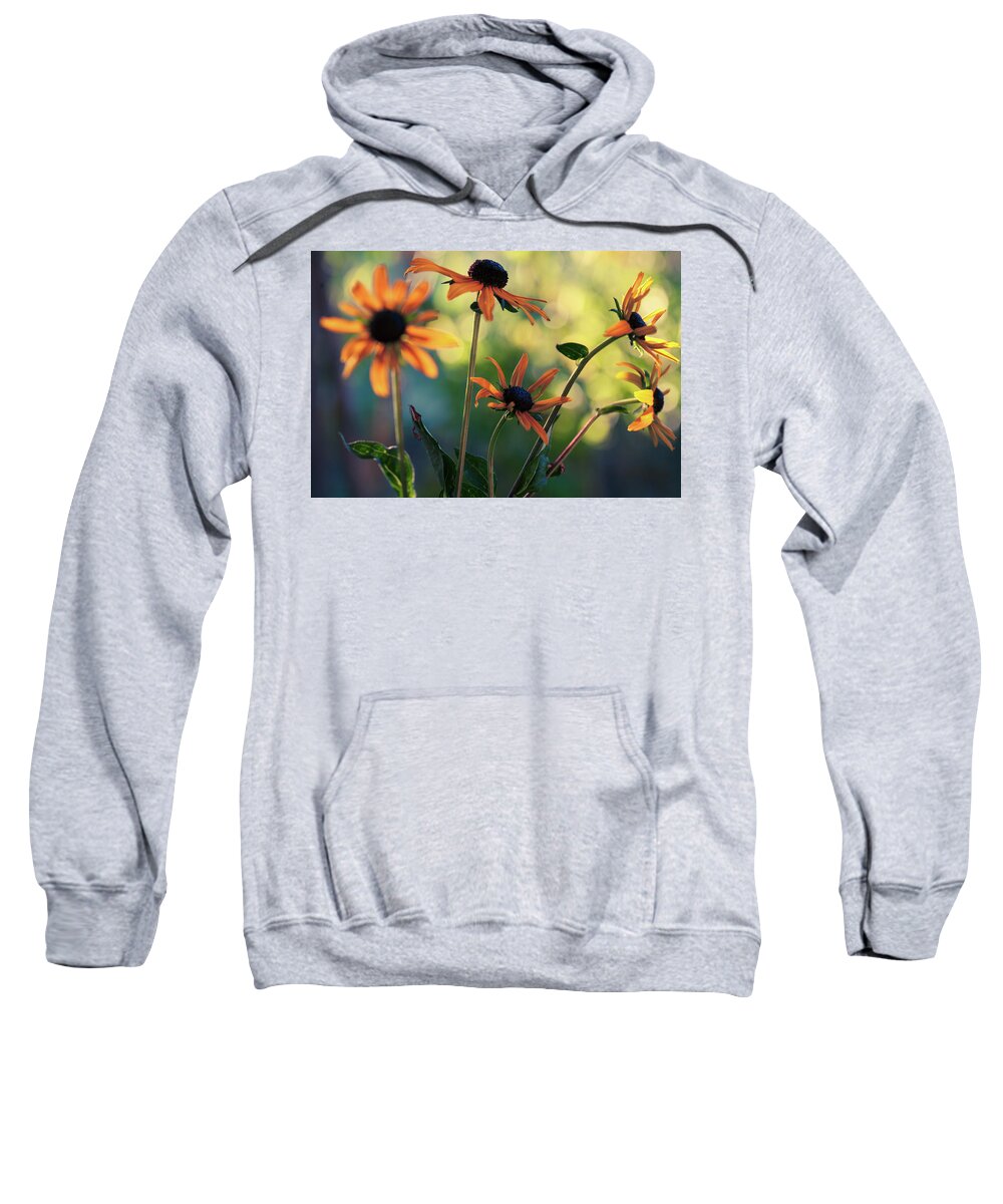 Echinacea Sweatshirt featuring the photograph Echinacea Garden #1 by Bonnie Bruno
