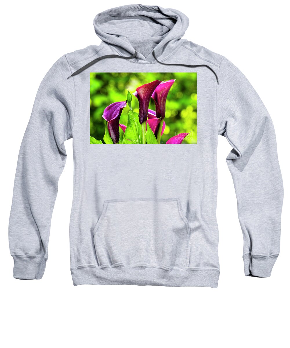 Araceae Sweatshirt featuring the photograph Purple Calla Lily Flower by Raul Rodriguez