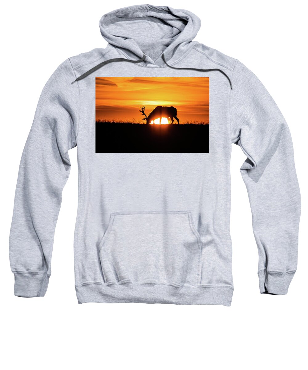 Jay Stockhaus Sweatshirt featuring the photograph Sunrise Elk #1 by Jay Stockhaus