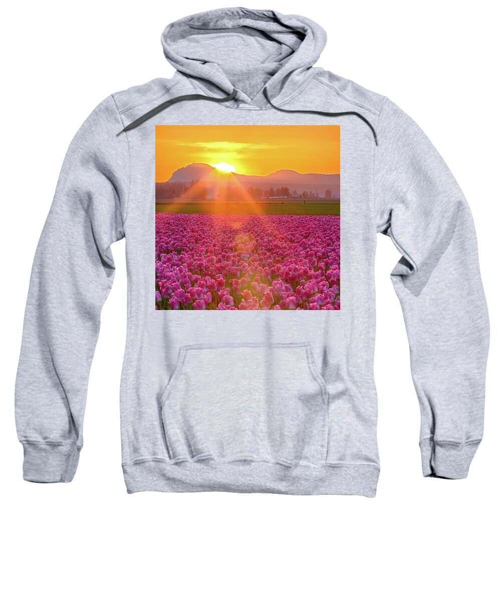 Flower Sweatshirt featuring the photograph Tulip Sunset #1 by Briand Sanderson