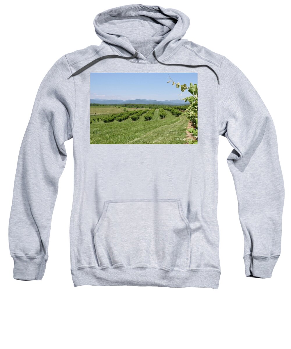 Vineyard Sweatshirt featuring the photograph Vineyard #1 by Flavia Westerwelle