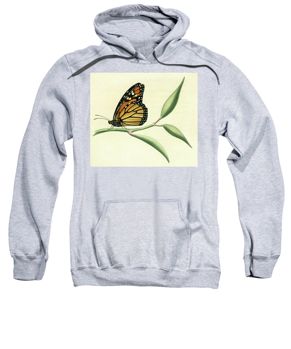 Entomology Sweatshirt featuring the mixed media Butterfly #5 by Unknown