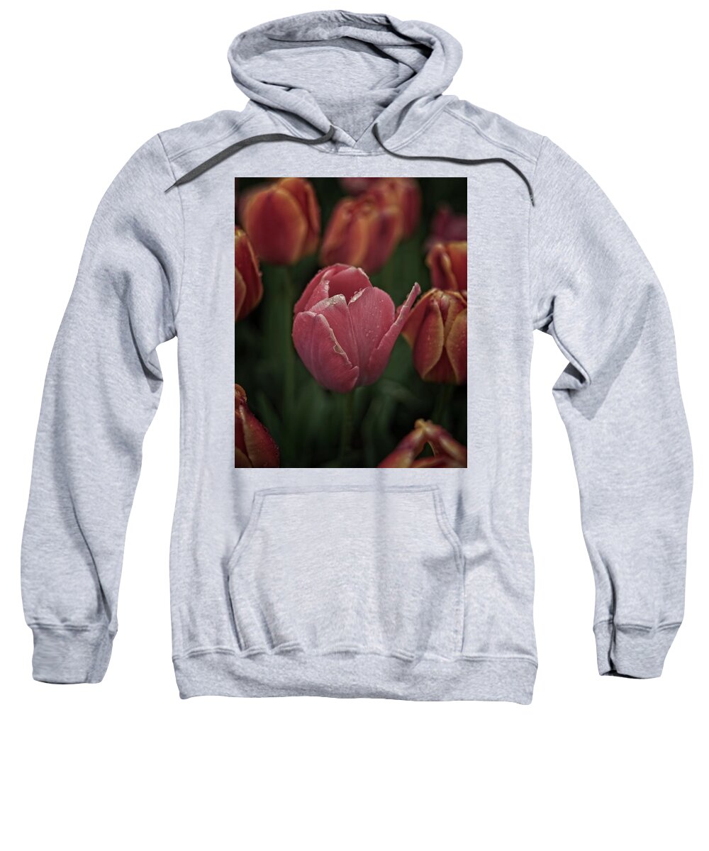 Winterpacht Sweatshirt featuring the photograph Single #3 by Miguel Winterpacht