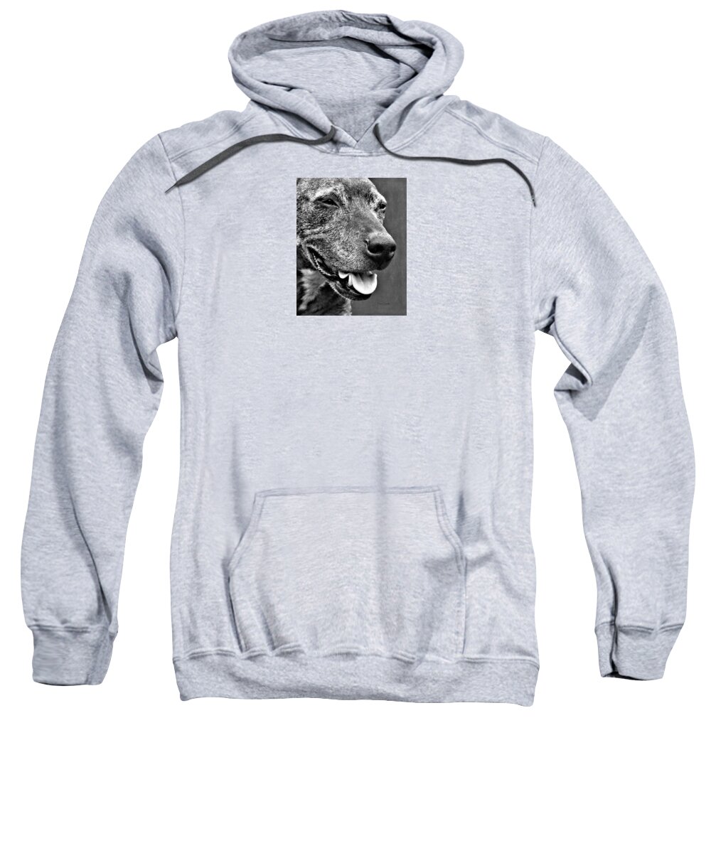 Dog Sweatshirt featuring the photograph Addy by Diane Chandler