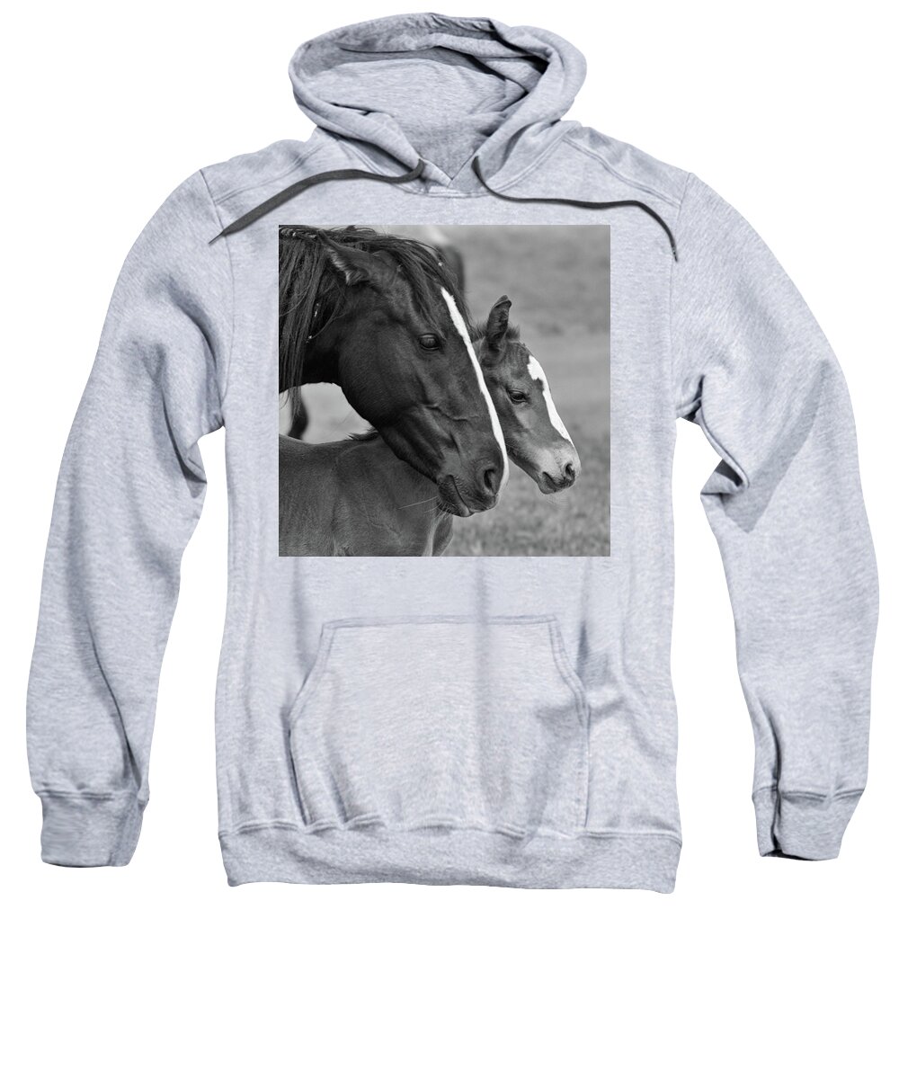 Wild Horse Sweatshirt featuring the photograph All the love by Mary Hone