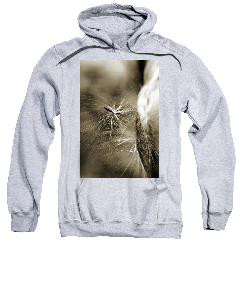 Sepia Sweatshirt featuring the photograph Almost by Michelle Wermuth
