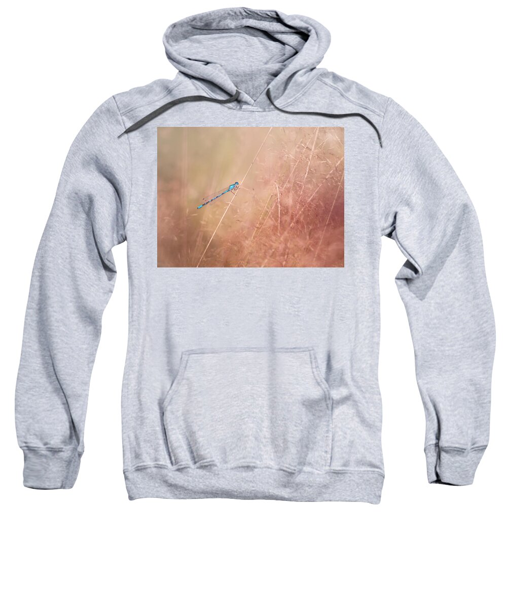 Dragonfly Sweatshirt featuring the photograph Around The Meadow 12 by Jaroslav Buna