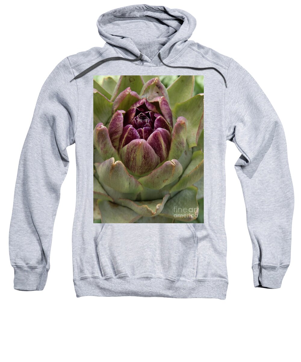 Artichoke Sweatshirt featuring the photograph Artichoke Plant by Christy Garavetto