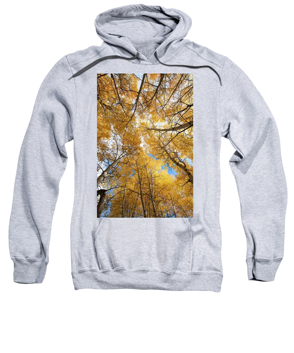Aspens Sweatshirt featuring the photograph Aspens Reaching For The Sky by Patrick Nowotny