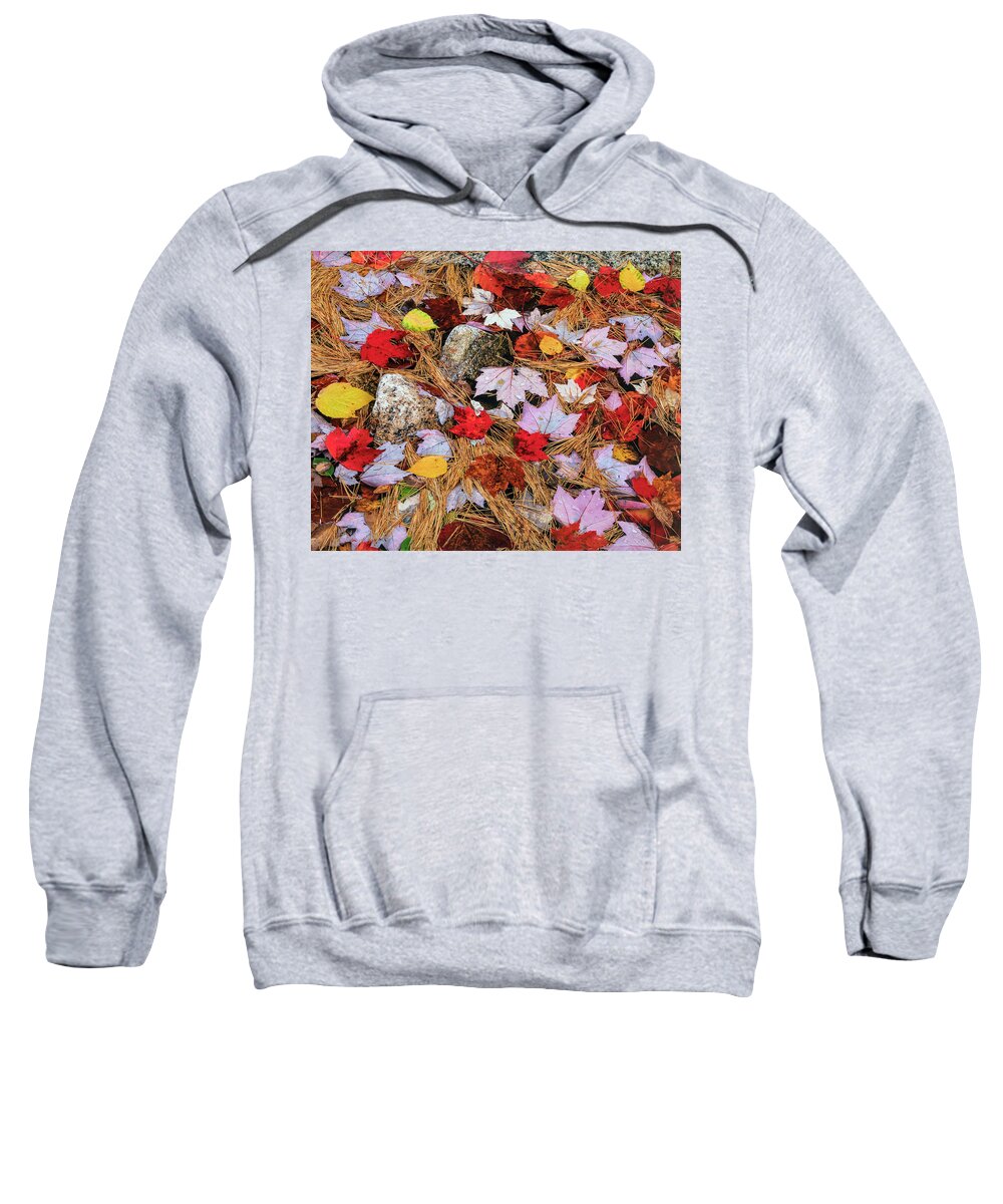 Jeff Foott Sweatshirt featuring the photograph Autumn Needles And Maple Leaves by Jeff Foott