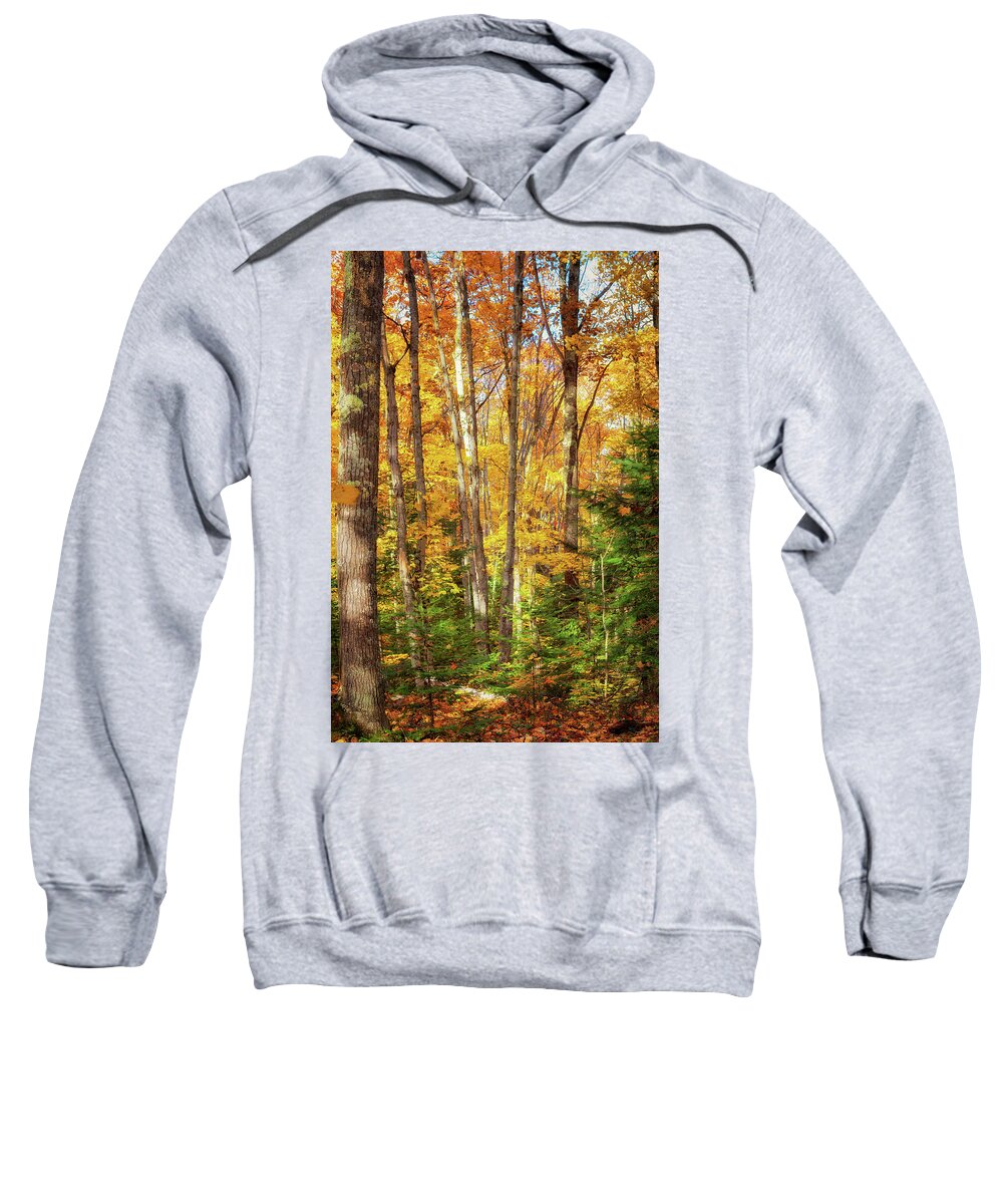 Autumn Sweatshirt featuring the photograph Autumn's Glory by Susan Rissi Tregoning