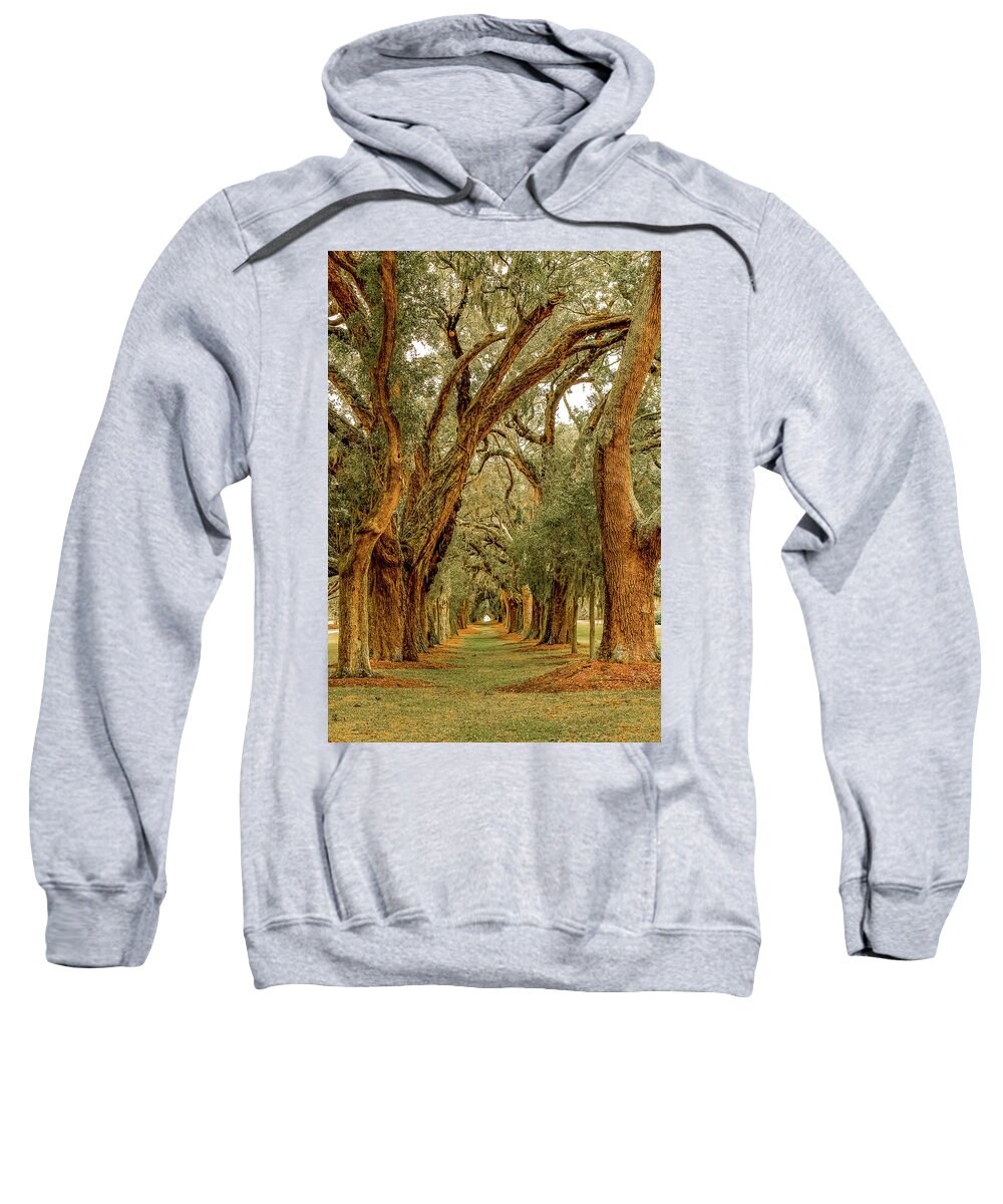 St Simons Sweatshirt featuring the photograph Avenue of Oaks by Darryl Brooks