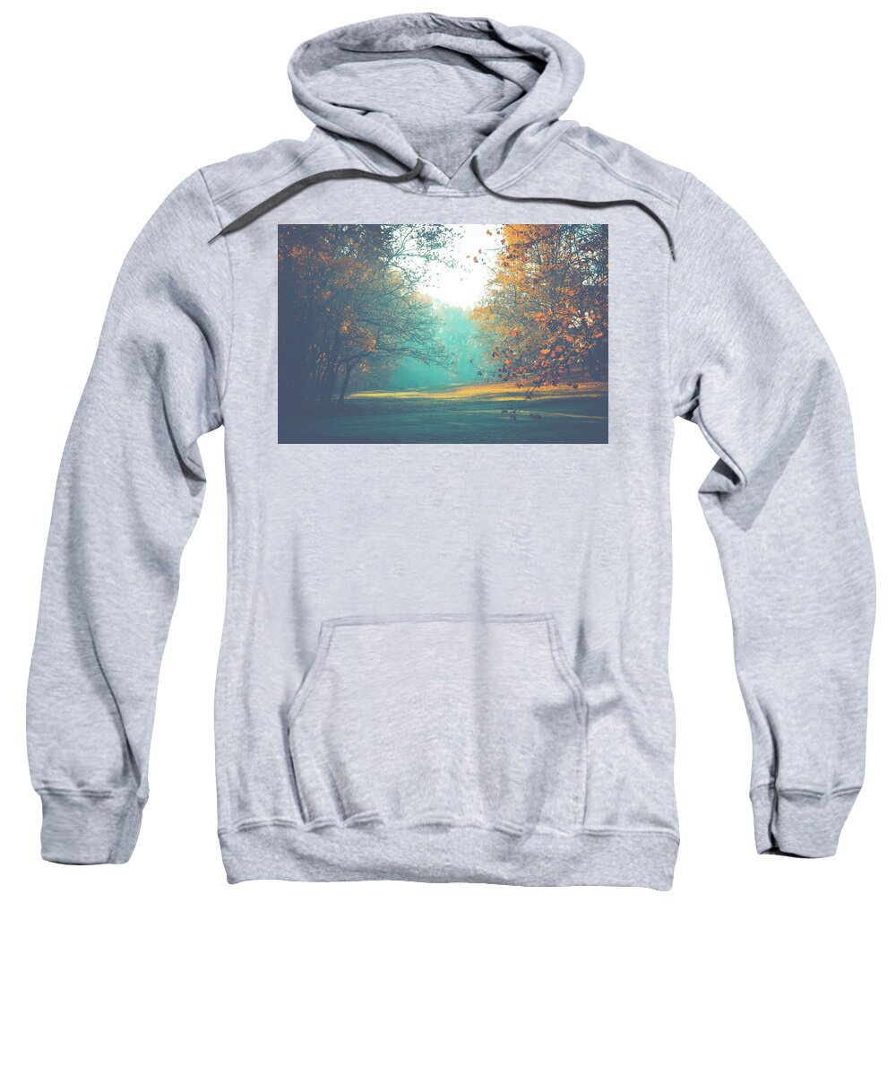 Teal Blue Sweatshirt featuring the photograph Bashful by Michelle Wermuth