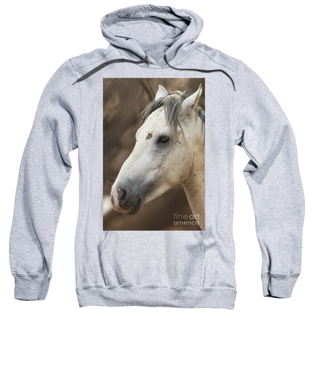Battle Scars Sweatshirt featuring the photograph Battle Scars by Shannon Hastings