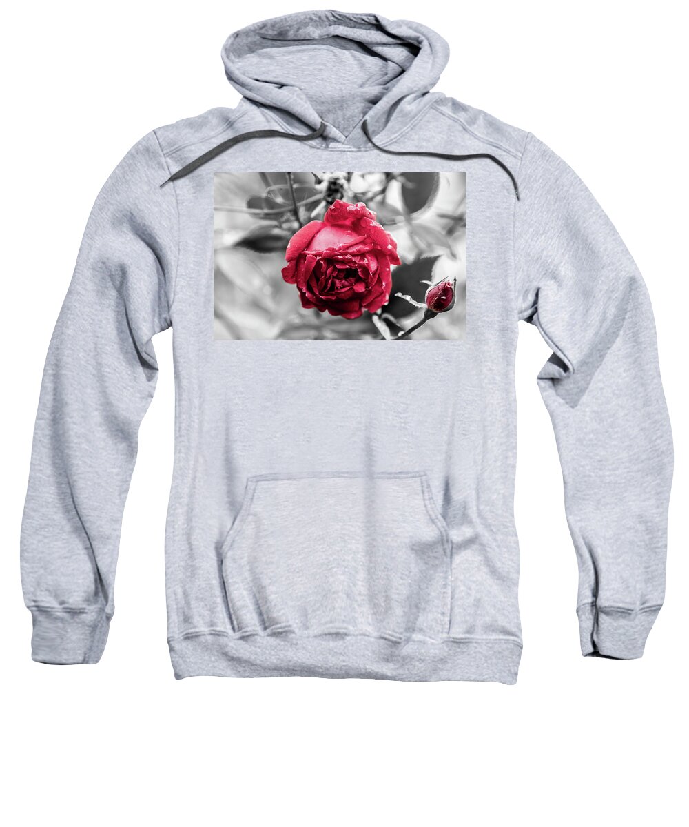 Photo Sweatshirt featuring the photograph Beautiful Red Rose by Jason Hughes