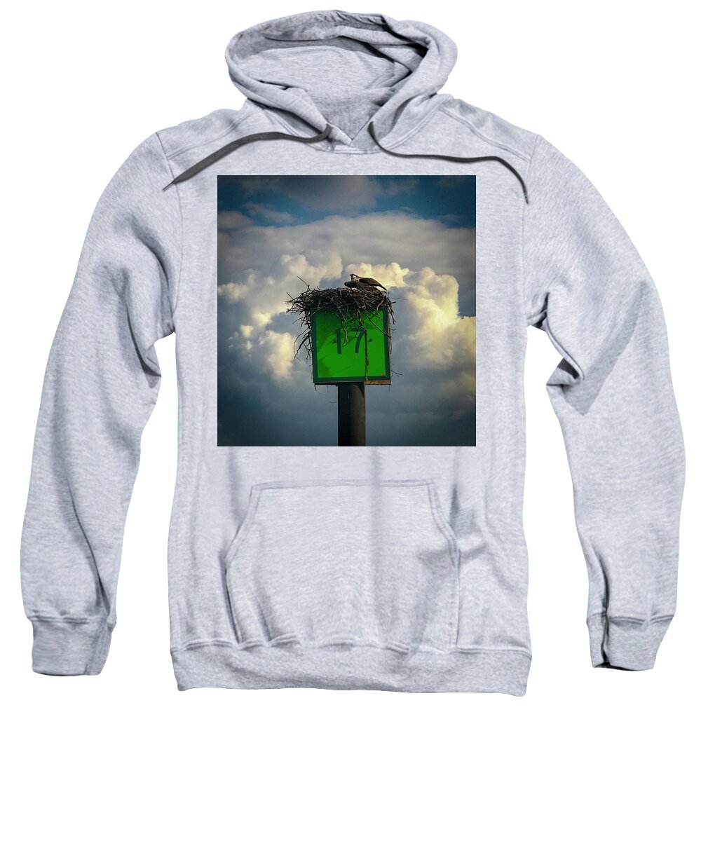 Osprey Sweatshirt featuring the photograph Before the Storm by Lora J Wilson