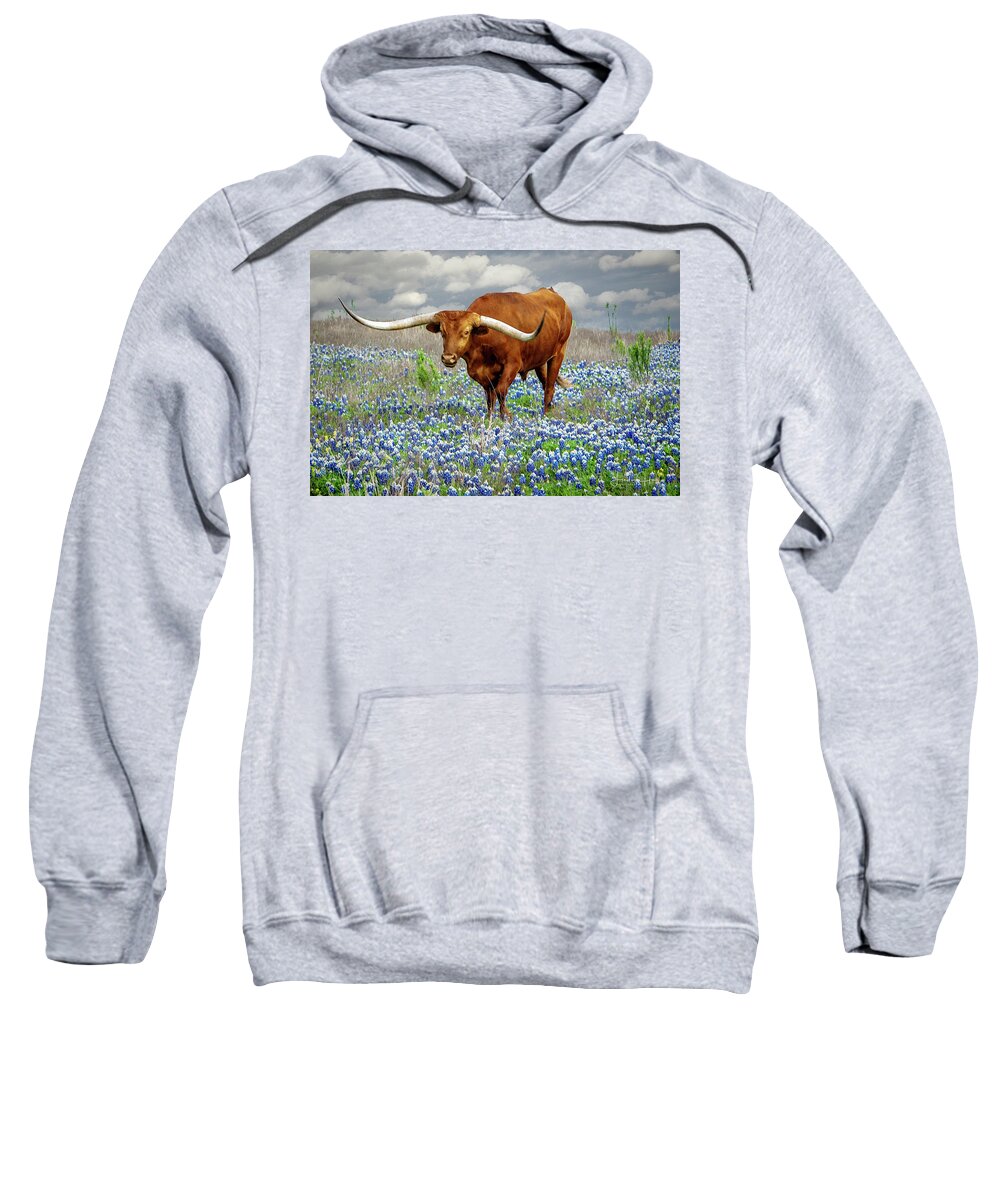 Longhorn Sweatshirt featuring the photograph Big Red by Linda Lee Hall