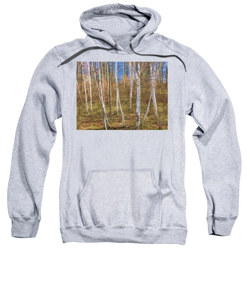 Woods Sweatshirt featuring the digital art Birch Grove on the side of the hill by Steve Glines