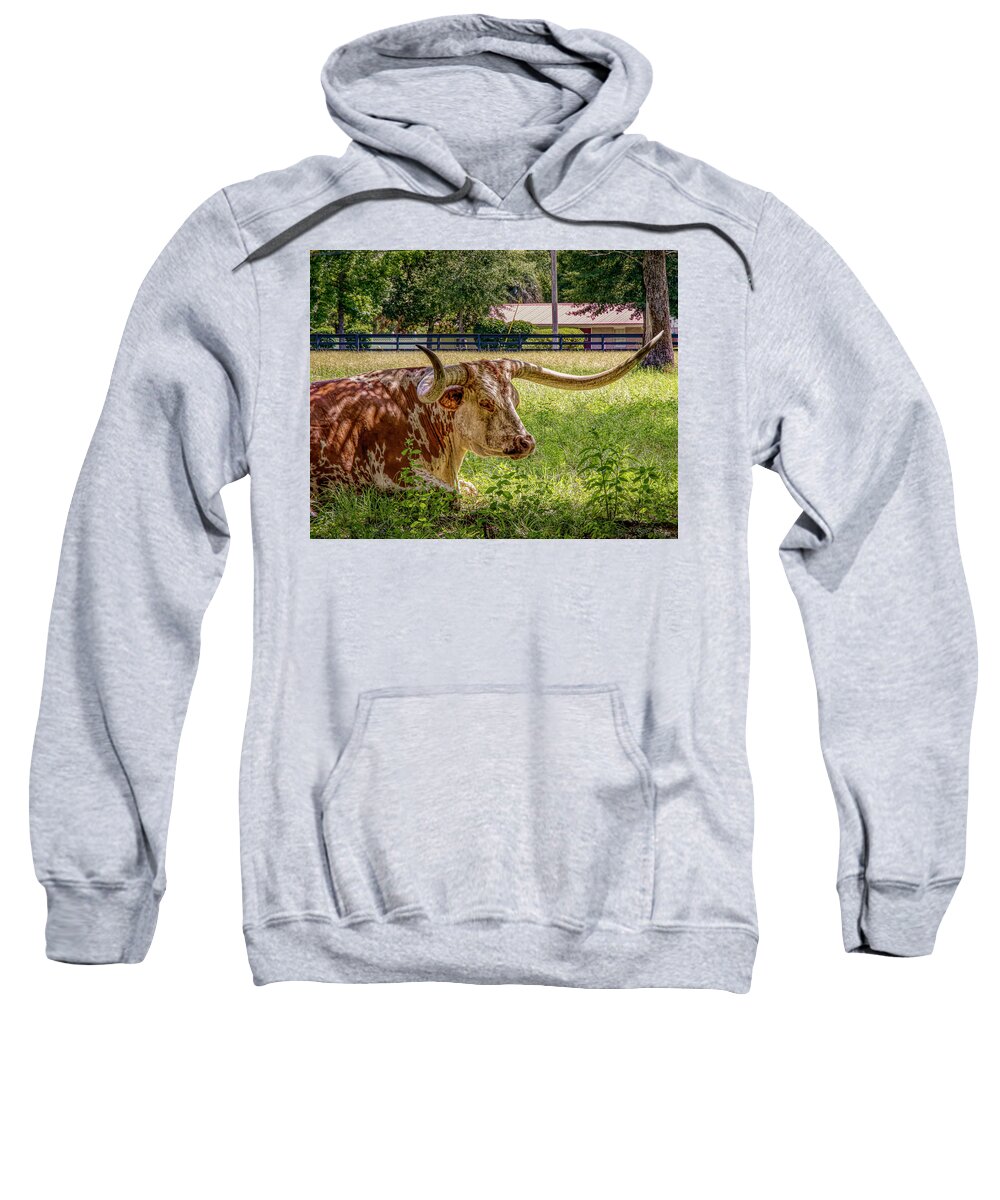Cow Sweatshirt featuring the photograph Birthday Cake by JASawyer Imaging
