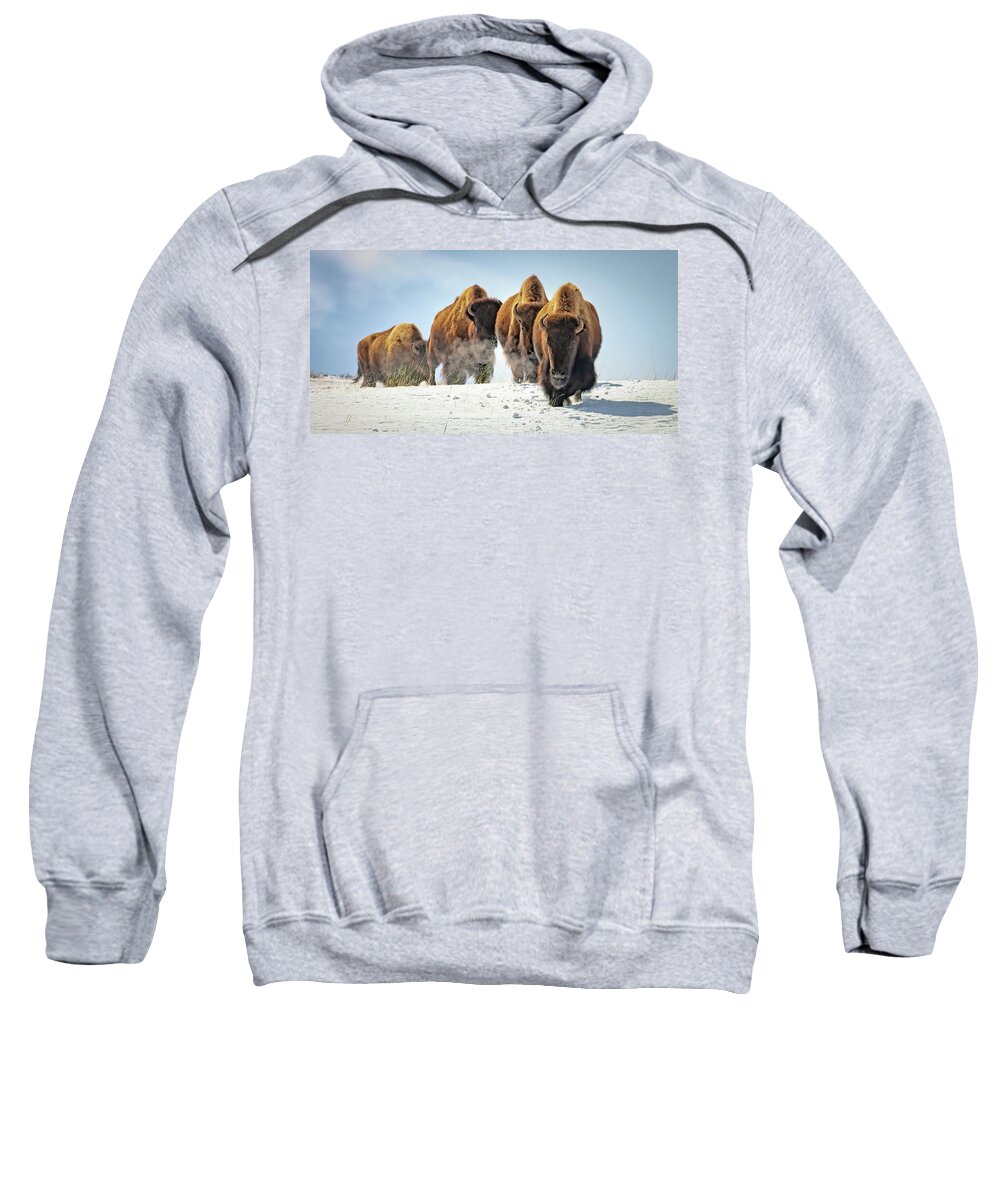Bison Sweatshirt featuring the photograph Bison Winter Journey by Jack Bell
