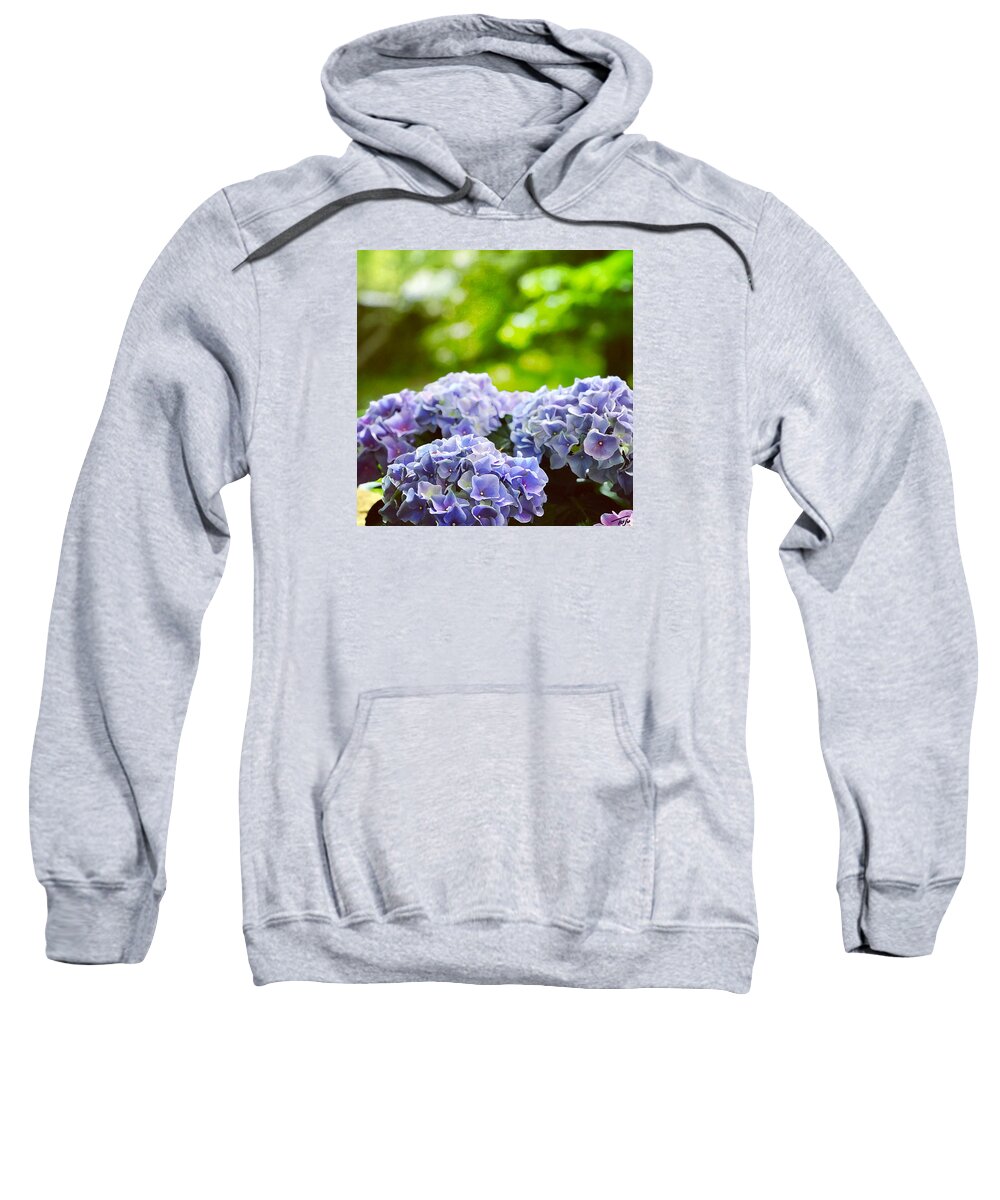 Hydrangea Sweatshirt featuring the photograph Blue Hydrangea by Tom Johnson