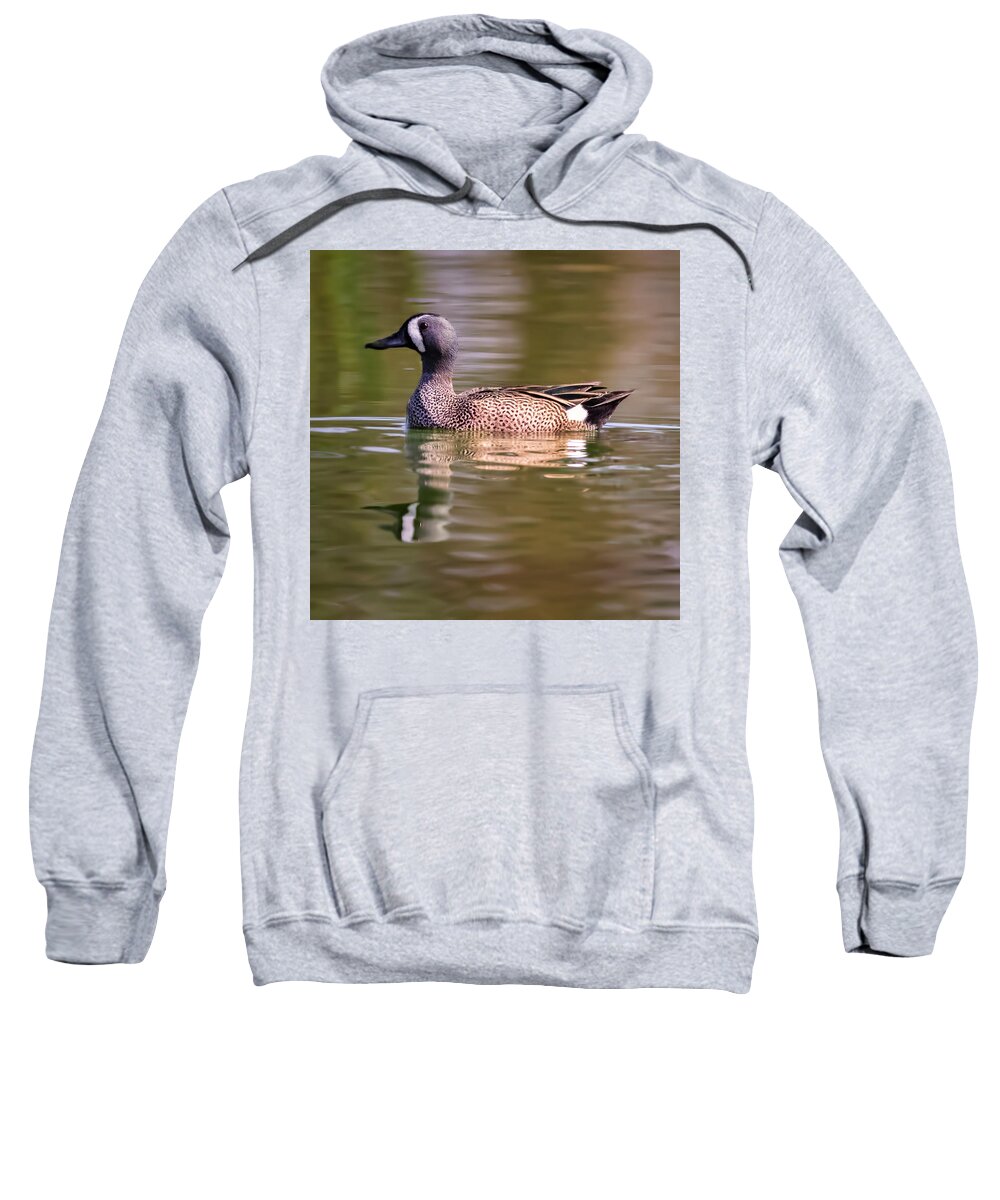 Duck Sweatshirt featuring the photograph Blue Winged Teal by JASawyer Imaging
