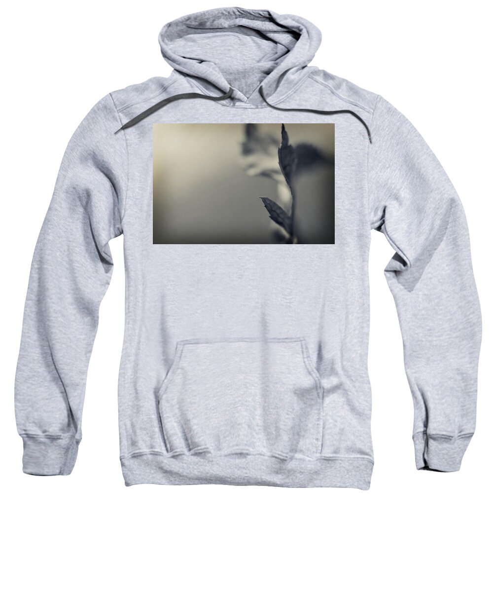 Leaf Sweatshirt featuring the photograph Blurred Lines by Michelle Wermuth