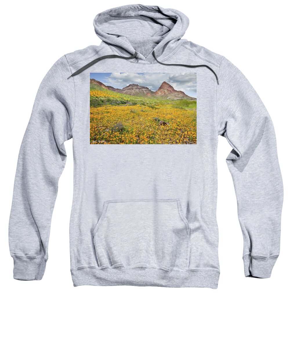 Arid Climate Sweatshirt featuring the photograph Boundary Cone Butte by Jeff Goulden