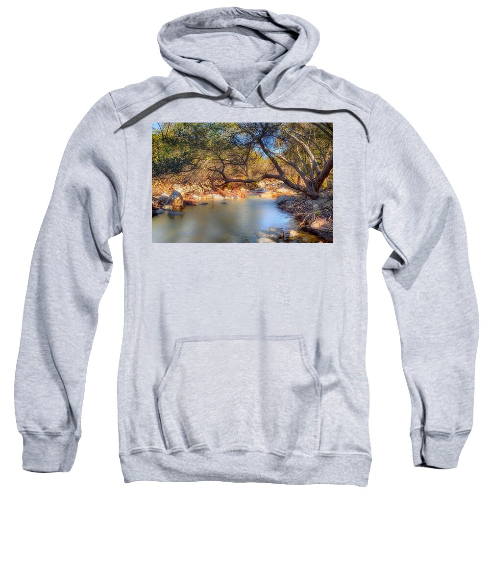 Stream Sweatshirt featuring the photograph Branch Out by Alison Frank