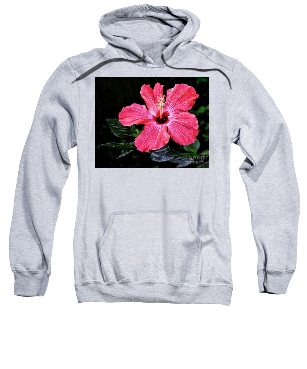 Floral Photography Sweatshirt featuring the photograph Bright Red Hibiscus by Norman Gabitzsch