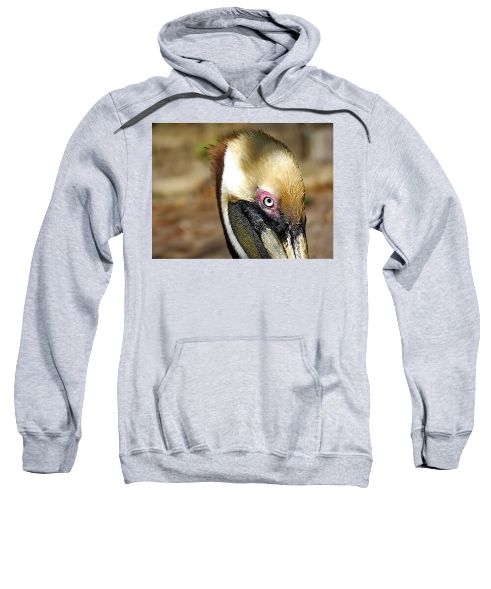 Pelican Sweatshirt featuring the photograph Brown Pelican in Breeding Plumage by Lyuba Filatova