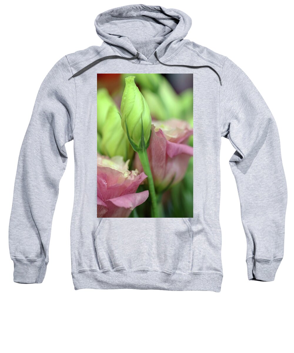 Flower Sweatshirt featuring the photograph Buds and Blooms by Mary Anne Delgado