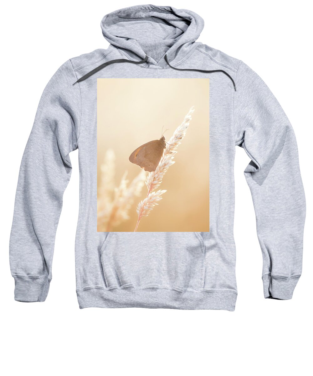 Nature Sweatshirt featuring the photograph Butterfly resting on grass on a summer's evening by Anita Nicholson