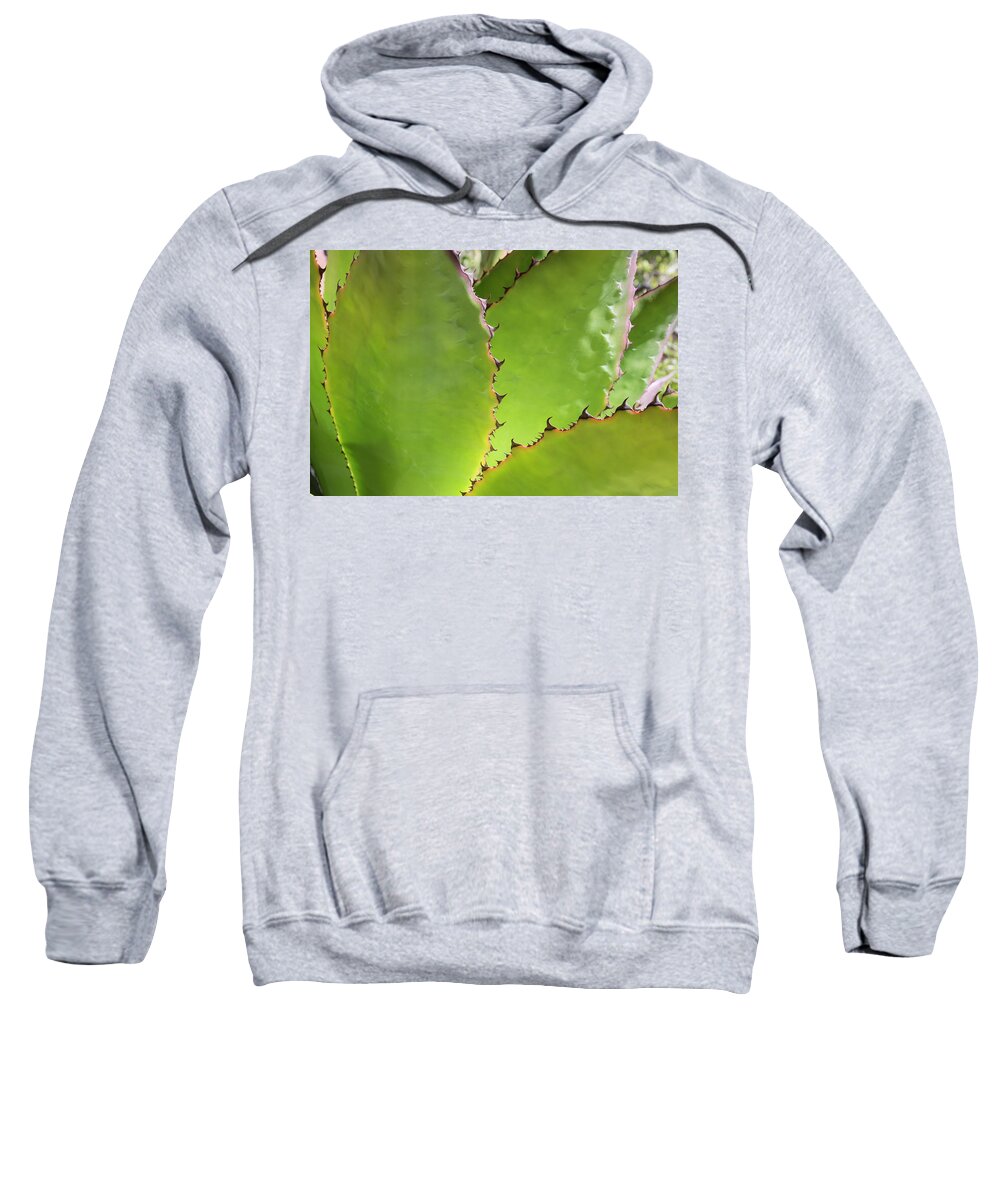 © 2015 Lou Novick All Rights Reserved Sweatshirt featuring the photograph Cactus 2 by Lou Novick