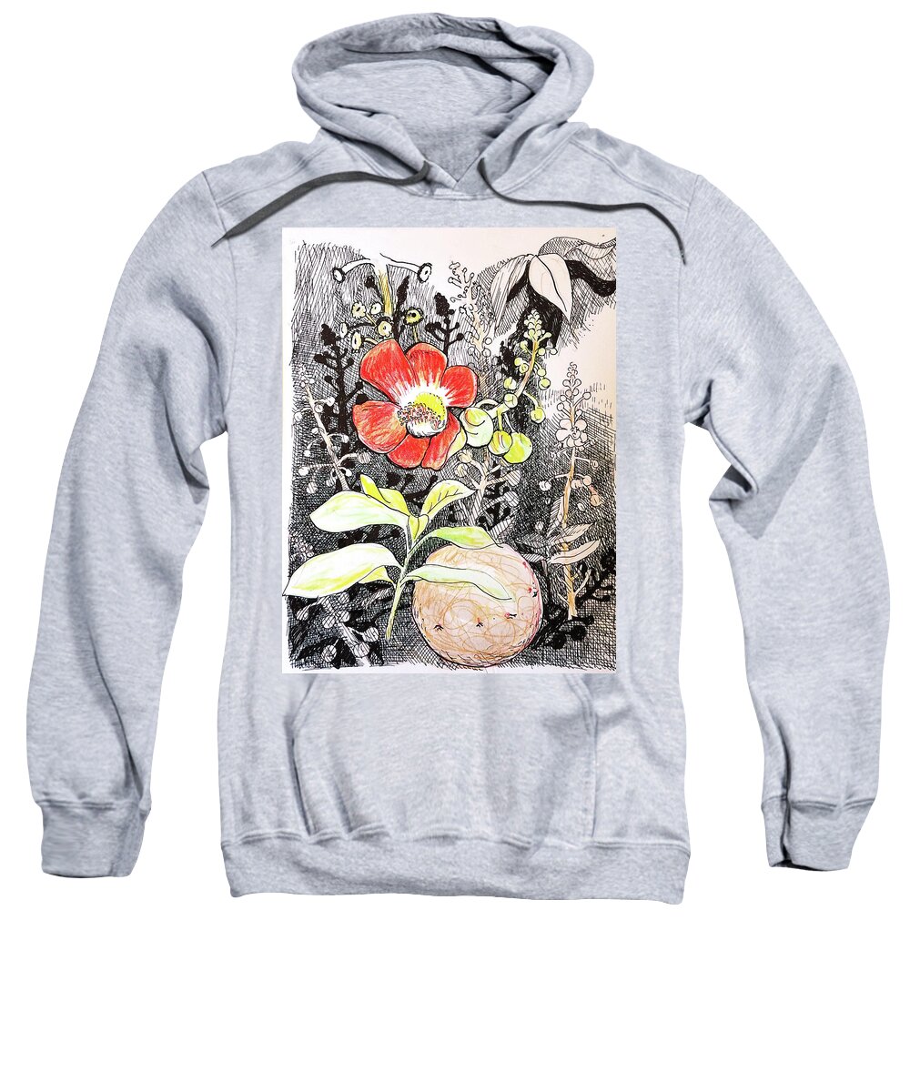 Botanical Sweatshirt featuring the drawing Cannonball flower botanical by Tilly Strauss