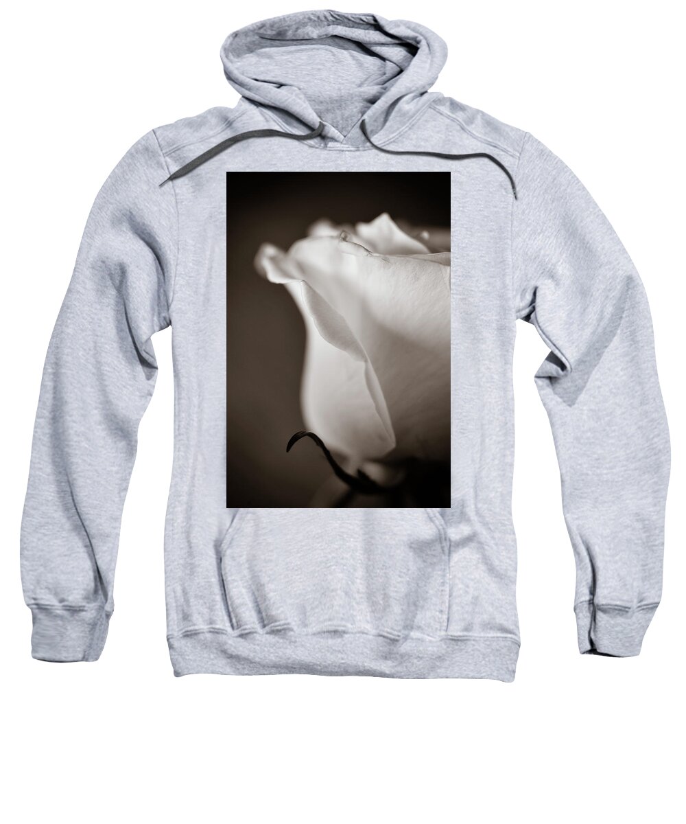 Sepia Sweatshirt featuring the photograph Chance by Michelle Wermuth